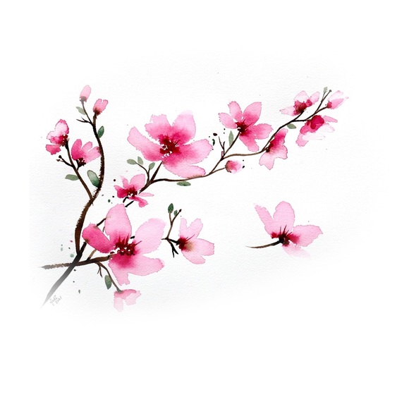 Meet your Posher, Frannie - Picture 1 of 1